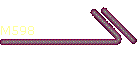 M598